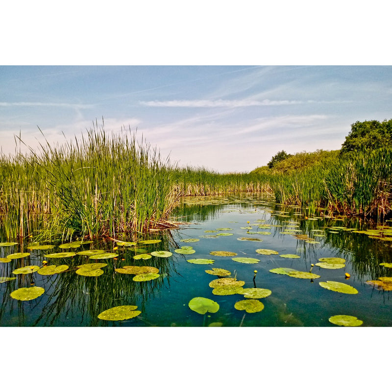 Ein Wochenende am Mellensee: Seeidylle am Rand unserer Hauptstadt