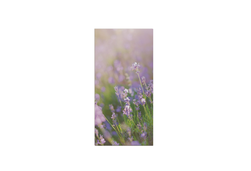 Leinwand