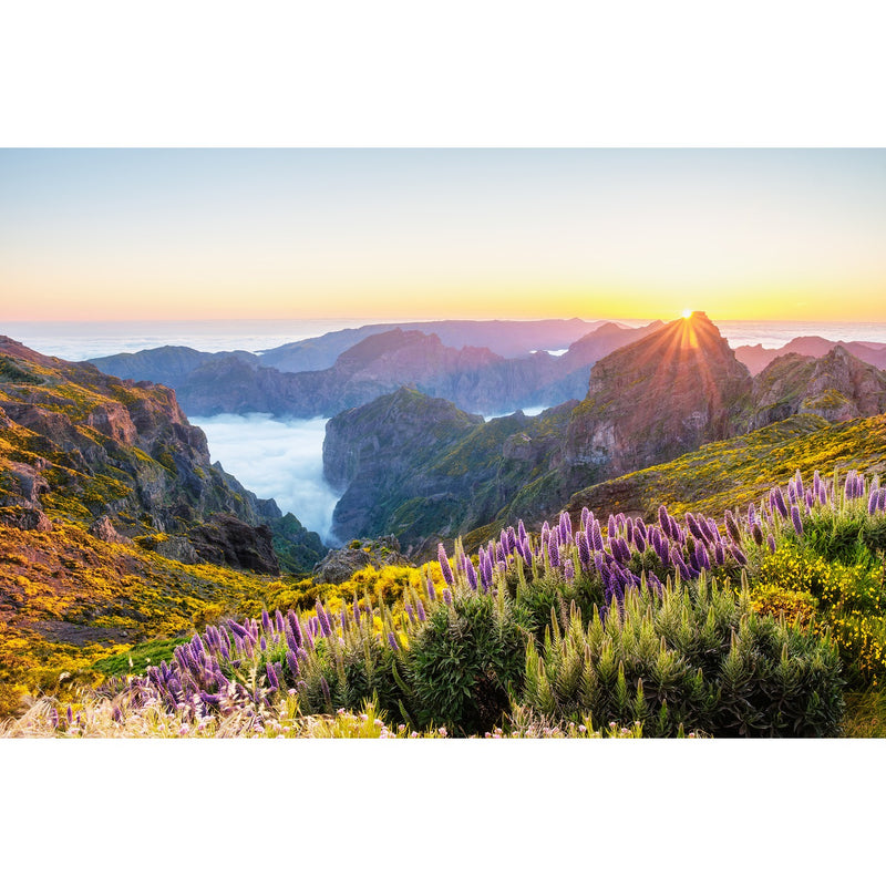 Madeira: 8 Tage inkl. Flug ab 999€