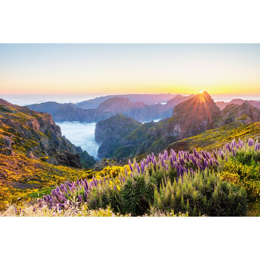 Madeira: 8 Tage inkl. Flug ab 999€