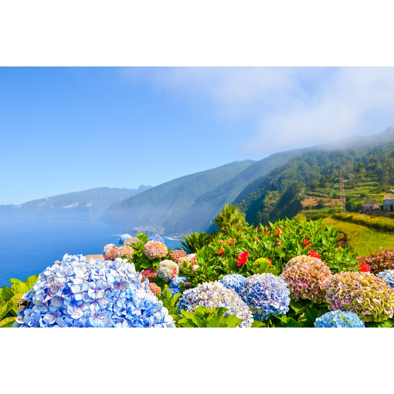 Madeira: 8 Tage inkl. Flug ab 999€ Bild 3