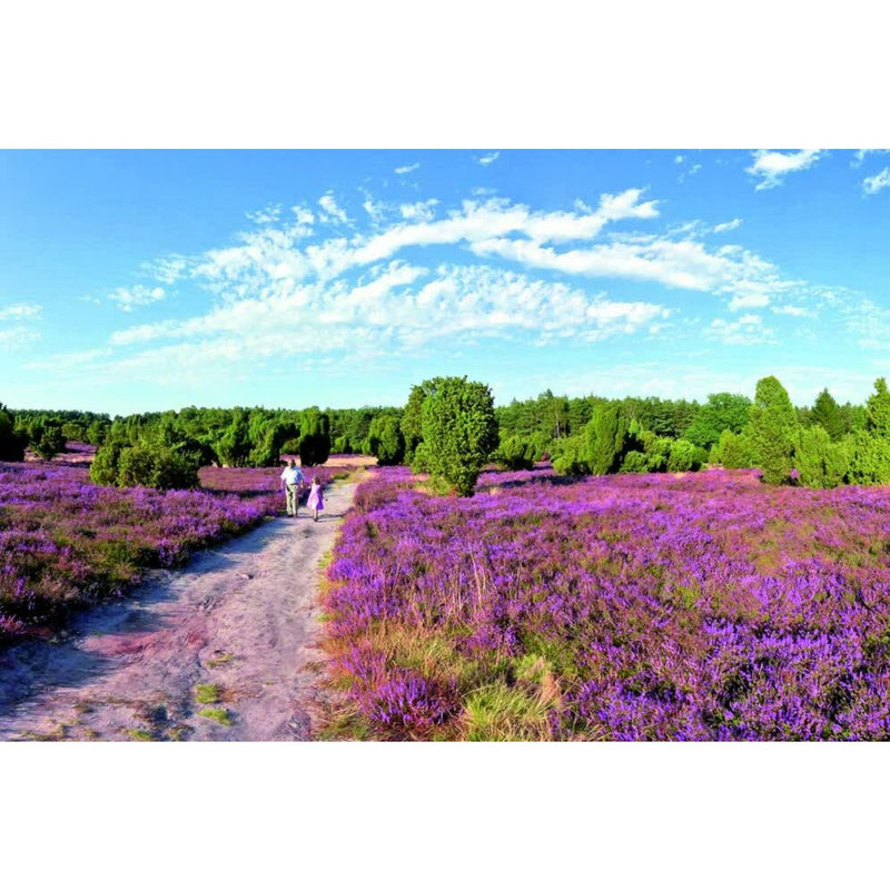 Kurzurlaub Südheide