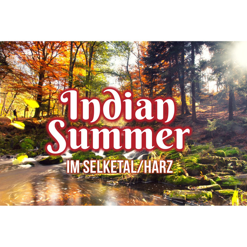 Indian Summer - wenn der Harz bunt wird!
