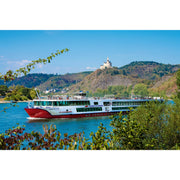 Vielfältige Schönheit auf dem Rhein