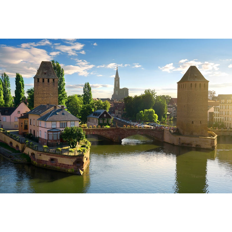 Vielfältige Schönheit auf dem Rhein Bild 4