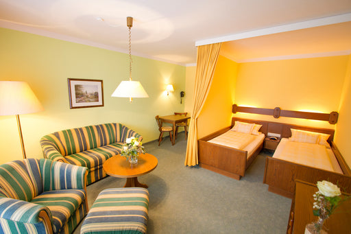 Hotel Birkenhof Therme in Bad Griesbach - Zimmerbeispiel Doppelzimmer