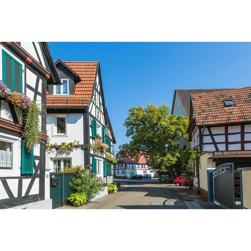 Erleben Sie Höhepunkte entlang des Rheins