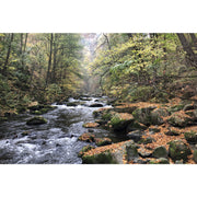 Walpurgis im Selketal/Harz Bild 9