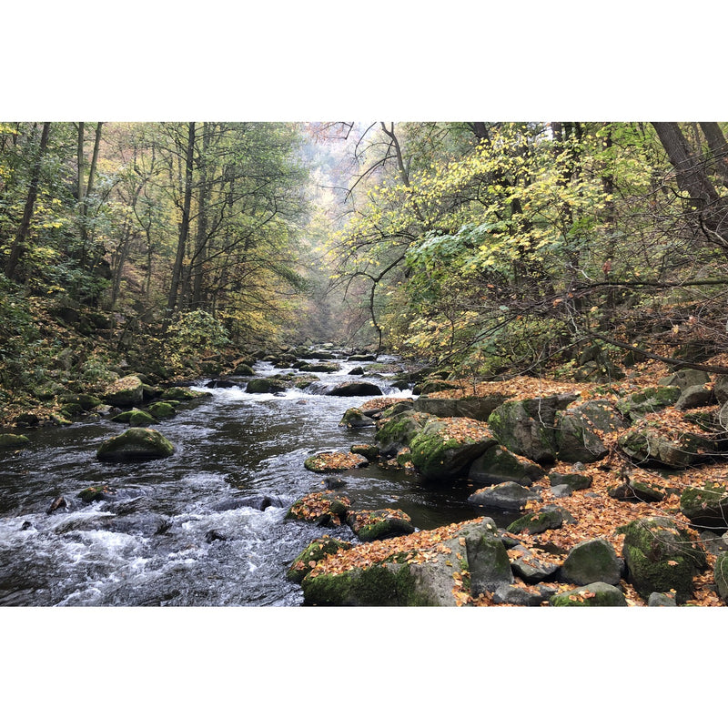 Walpurgis im Selketal/Harz Bild 9