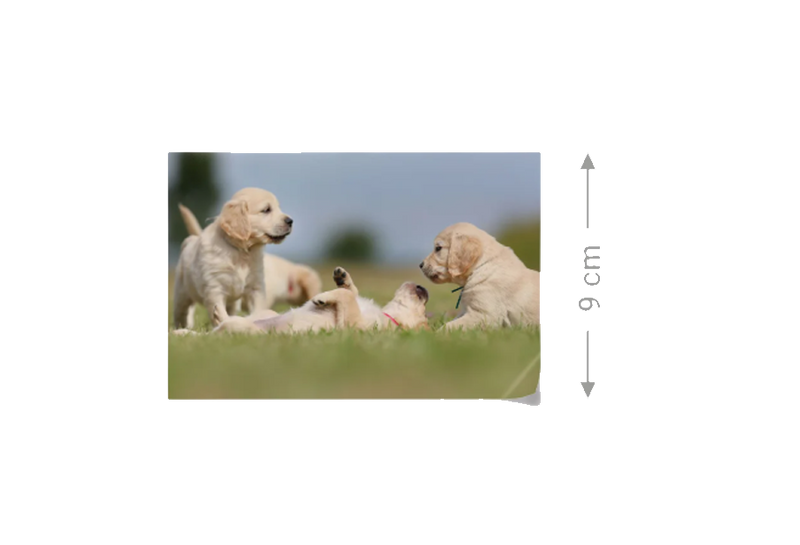 Fotoabzüge