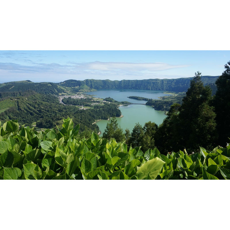 Individualreise - Wilde Romantik am Atlantik - Terceira, Faial und São Miguel
