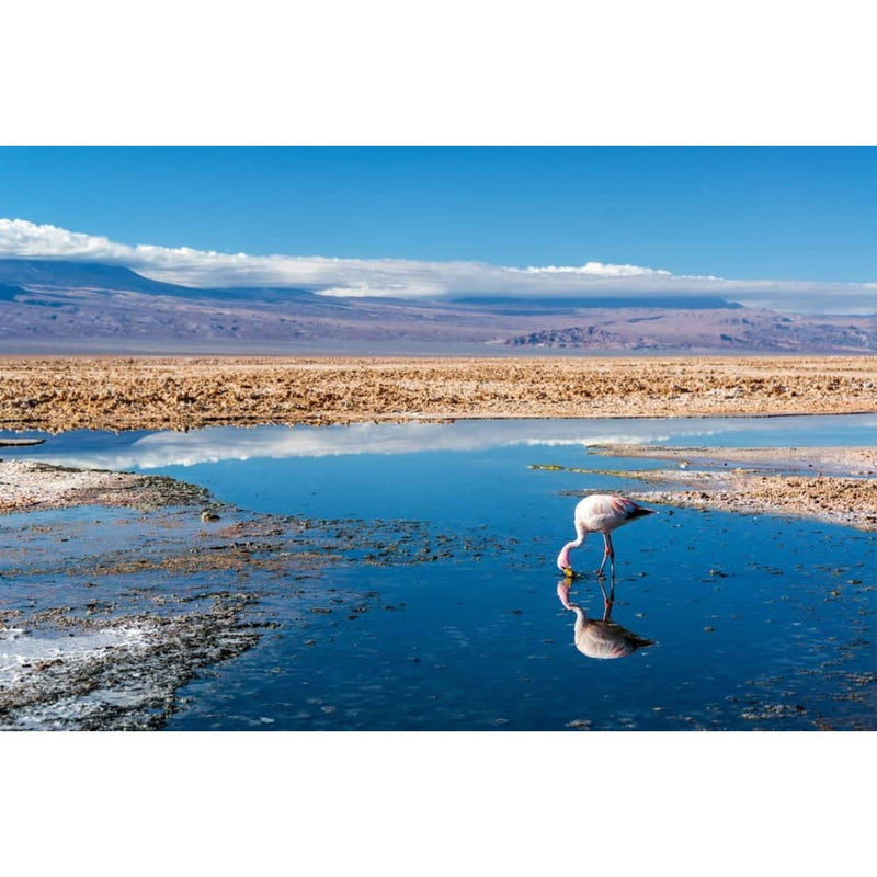 Individualreise - Extreme Gegensätze: Atacama-Wüste und Kreuzfahrt durch die Gletscherwelt Patagoniens