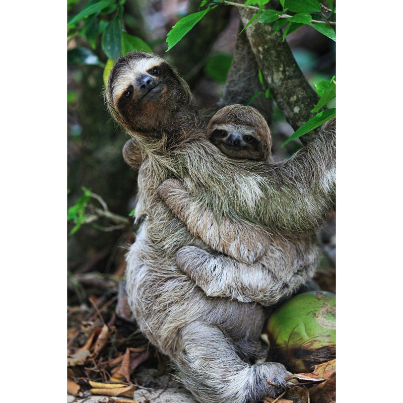 Individualreise - Costa Rica: Flexibel durchs Schlaraffenland