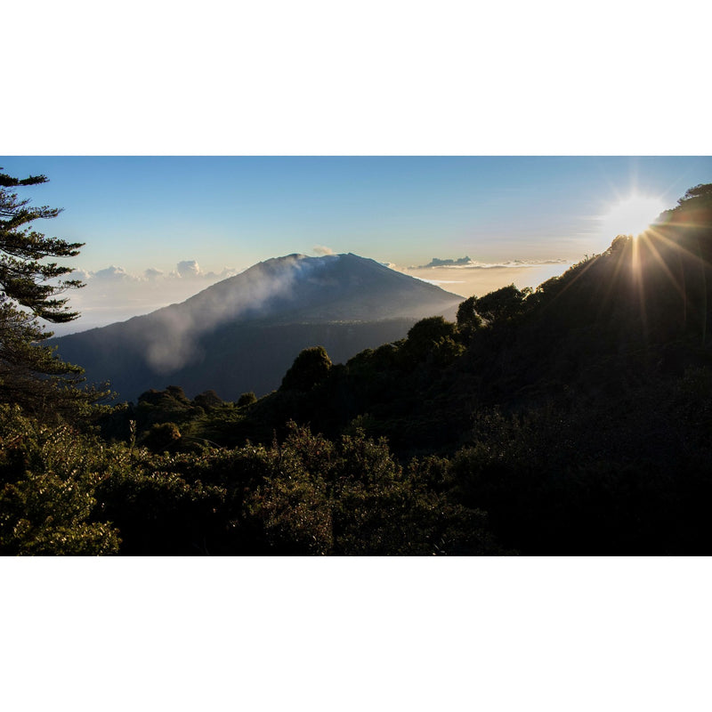 Individualreise - Geheimtippreisen Costa Rica: Zwischen Regenwald und Vulkanen
