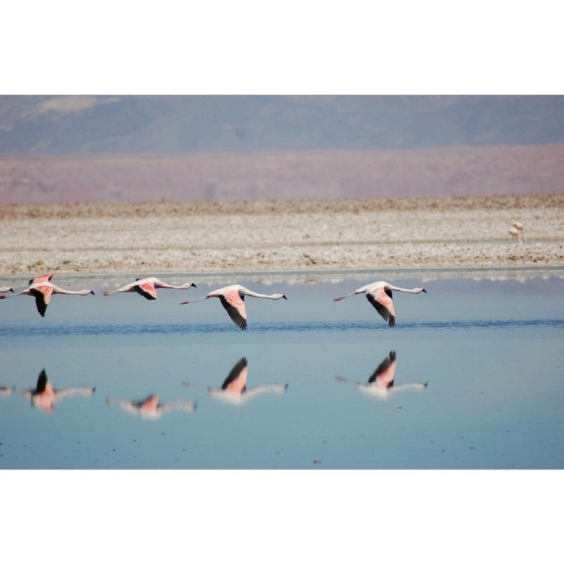 Individualreise - Chile-Rundreise