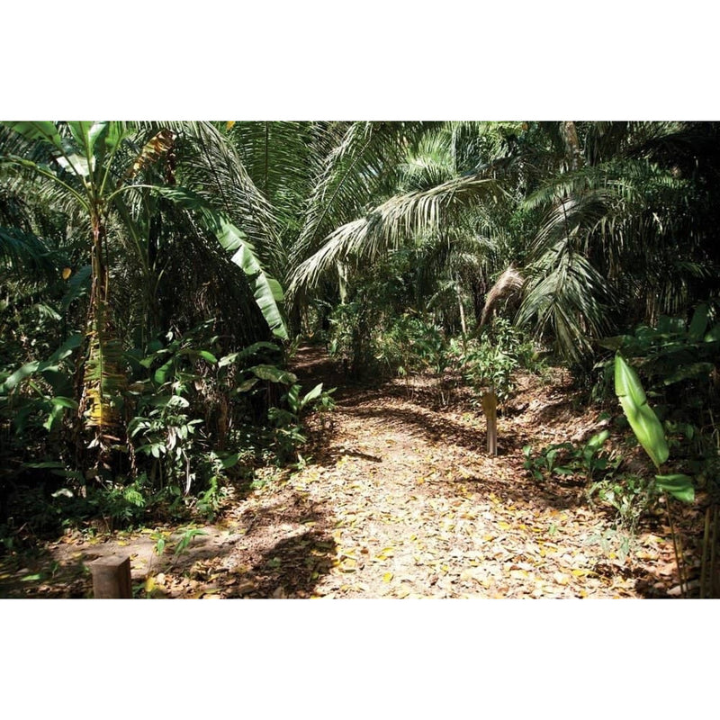Individualreise - Peru: Die Highlights des Landes entdecken