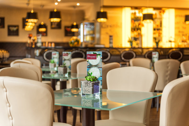 Johannesbad Hotel Königshof in Bad Füssing - Bar
