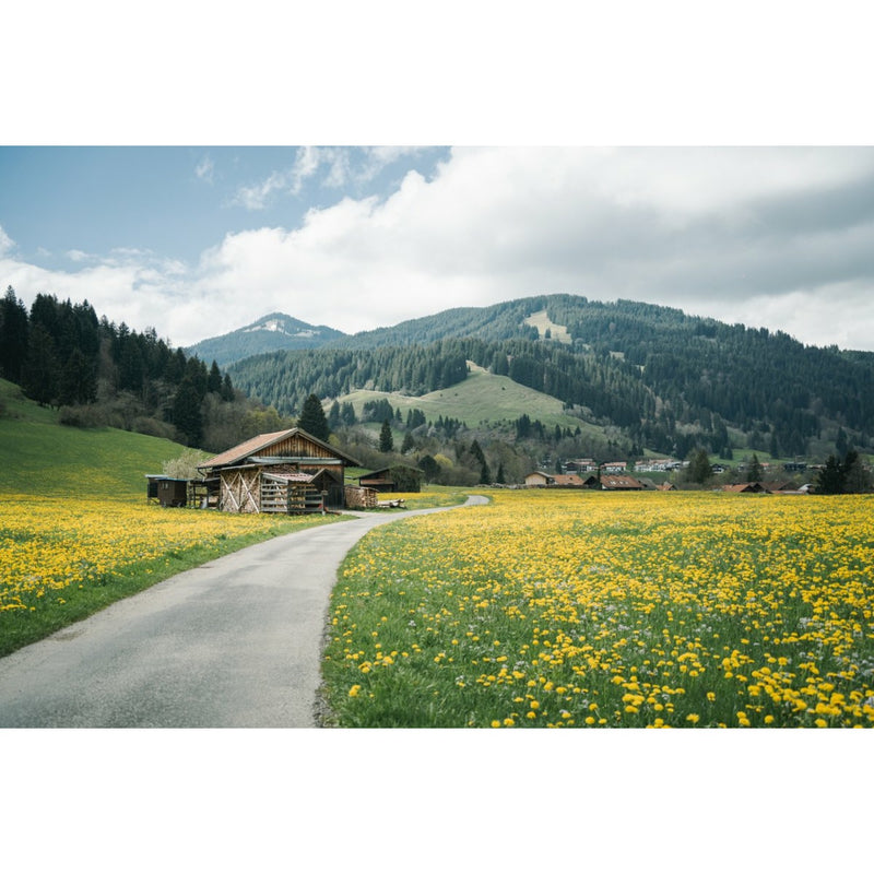Urlaub im sonnigen Allgäu