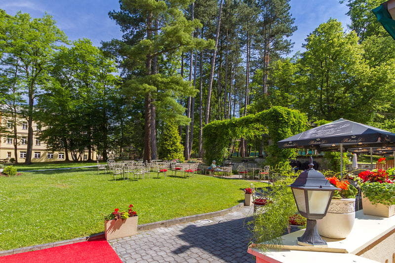 Spa Resort Pawlik-Aquaforum in Franzensbad - Sommerterrasse