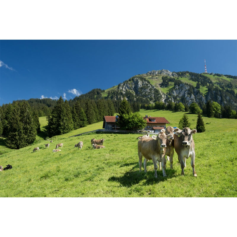 Urlaub im sonnigen Allgäu