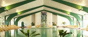 Hotel Birkenhof Therme in Bad Griesbach - Hotel-Therme
